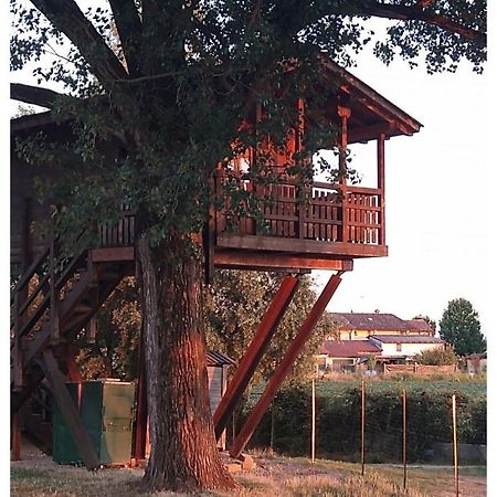 La Casa Sull'Albero Oasi Certosa Di Pavia Villa Borgarello Ngoại thất bức ảnh