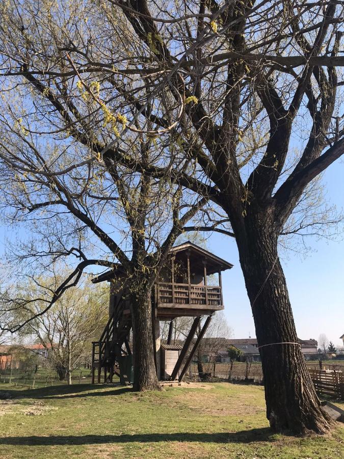 La Casa Sull'Albero Oasi Certosa Di Pavia Villa Borgarello Ngoại thất bức ảnh