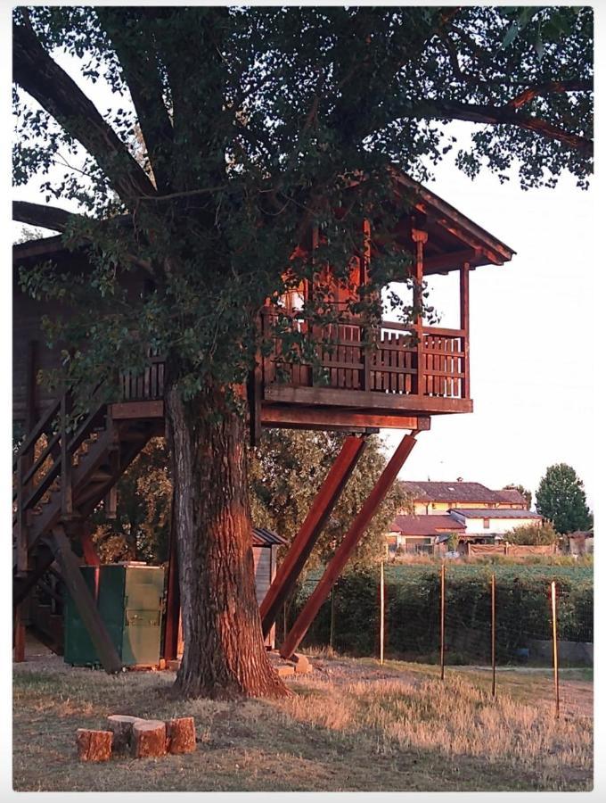 La Casa Sull'Albero Oasi Certosa Di Pavia Villa Borgarello Ngoại thất bức ảnh