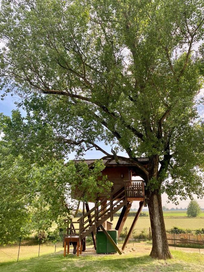 La Casa Sull'Albero Oasi Certosa Di Pavia Villa Borgarello Ngoại thất bức ảnh