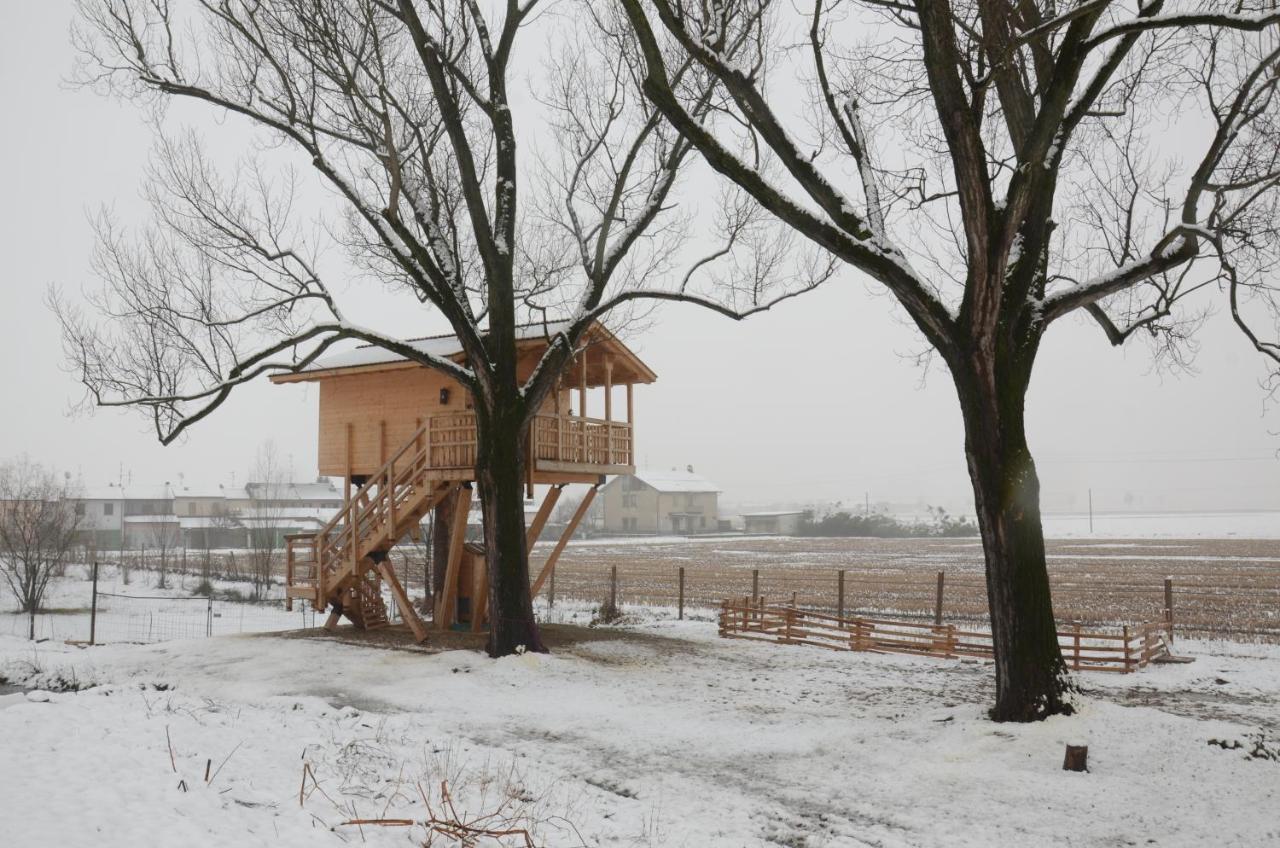 La Casa Sull'Albero Oasi Certosa Di Pavia Villa Borgarello Ngoại thất bức ảnh