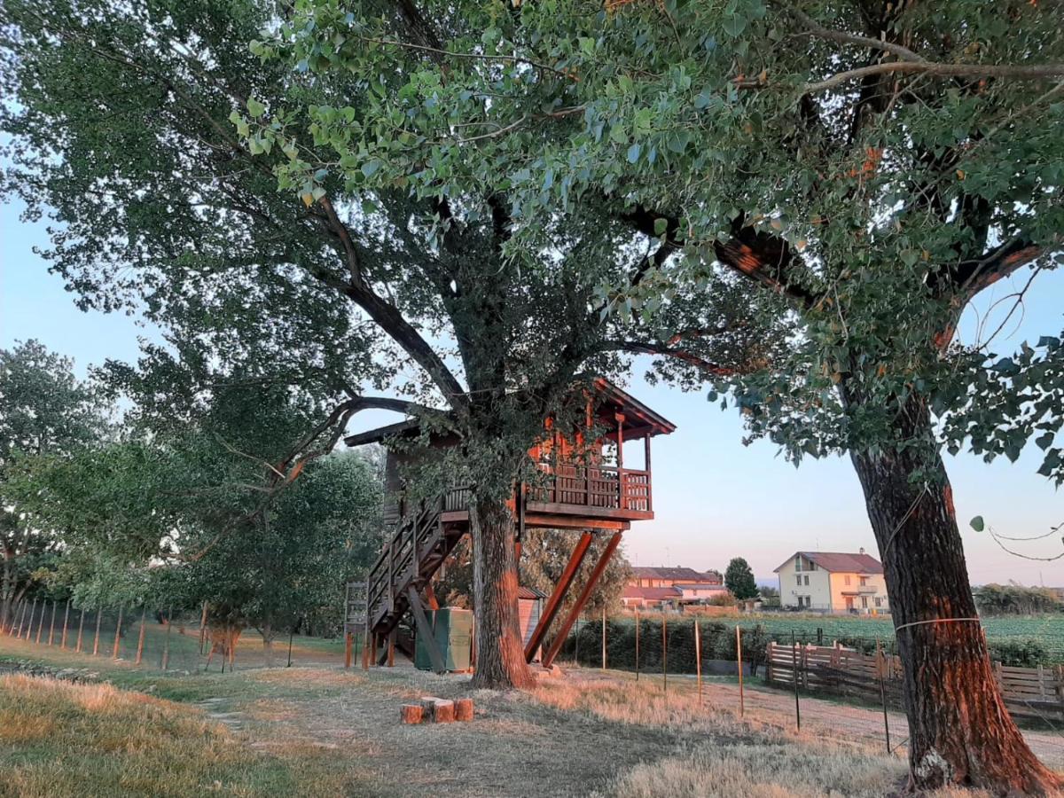 La Casa Sull'Albero Oasi Certosa Di Pavia Villa Borgarello Ngoại thất bức ảnh