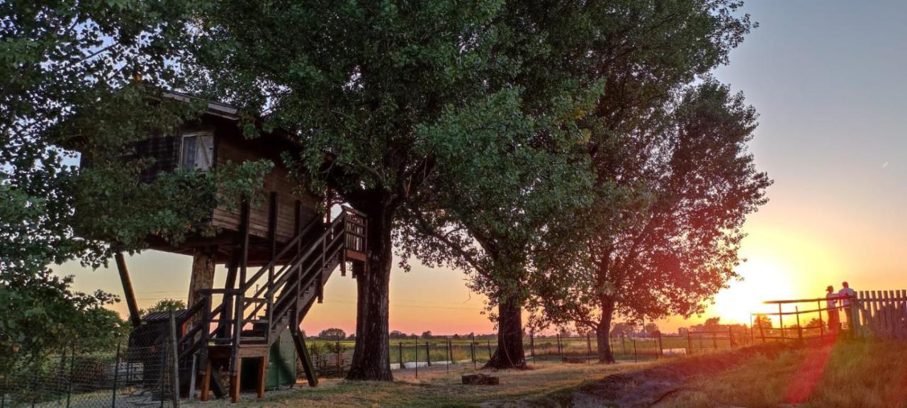 La Casa Sull'Albero Oasi Certosa Di Pavia Villa Borgarello Ngoại thất bức ảnh